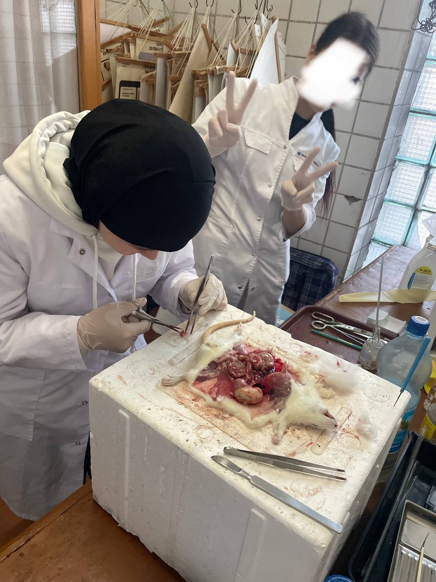 Бурулай выполняет лабораторную работу на 2 курсе медецинского угтверситета г. Благовещенск.