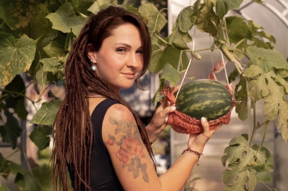    Арбузы — теплолюбивые растения. Поэтому Катя начинает высаживать на рассаду в конце апреля — в начале мая: в стаканчики, уже сразу в теплице.