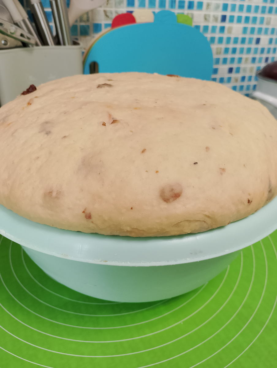 Фото 📷 автора канала. Я делаю двойную закладку теста, поэтому так много👌🤗