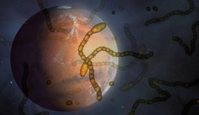 Марс заселяют микробами для жизни людей