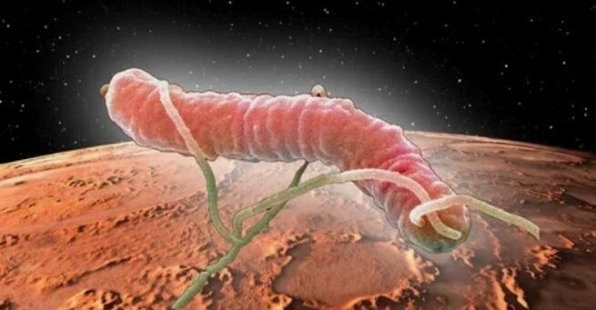 Есть ли жизнь на Марсе