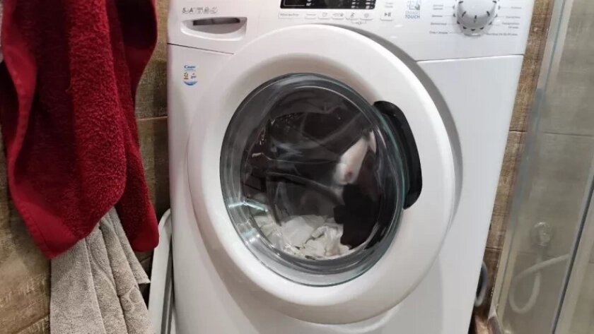    Фото usolie.info