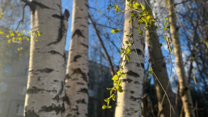    Фото редакции