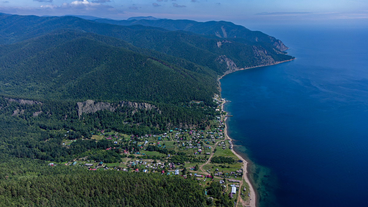 Большие Коты