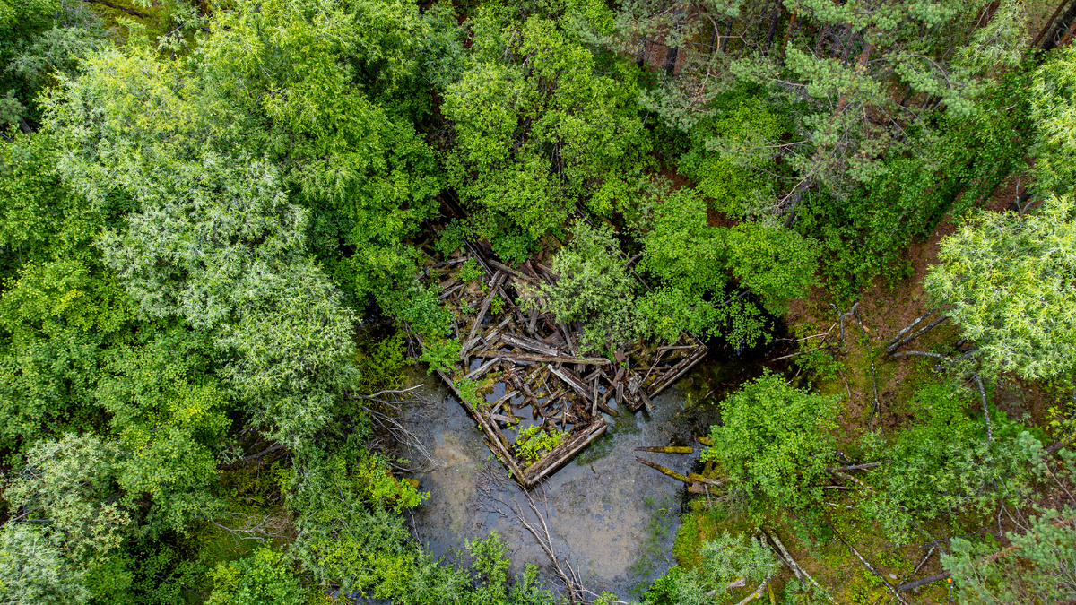 Остатки драги