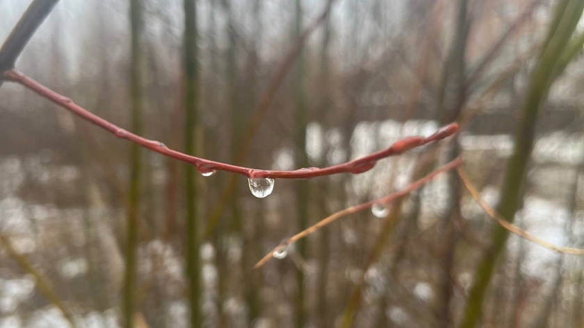    Фото из архива редакции