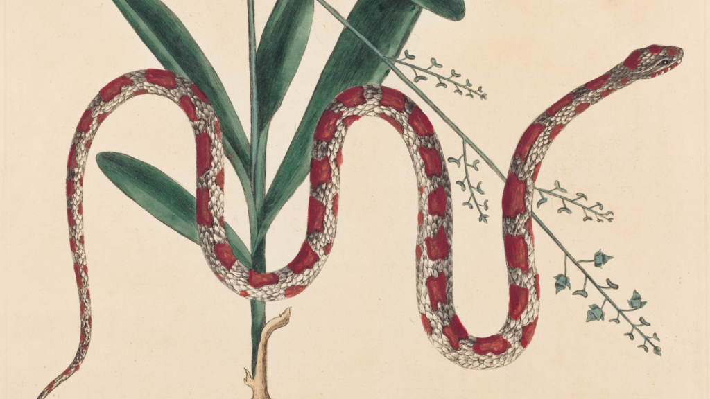    Фото: Shutterstock