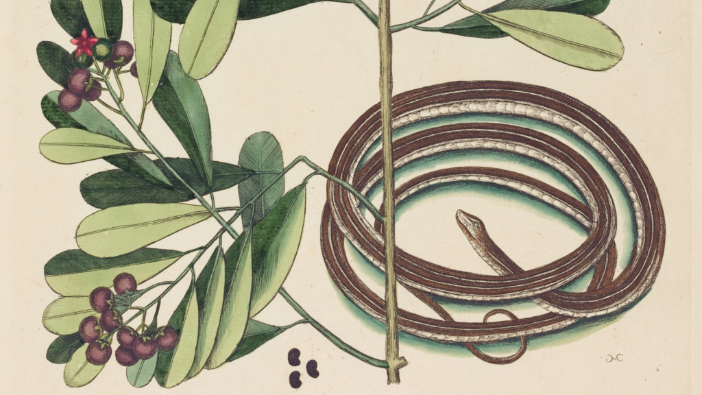    Фото: Shutterstock