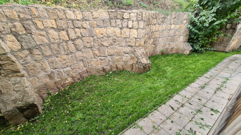    Фото Анастасии Дмитриевой