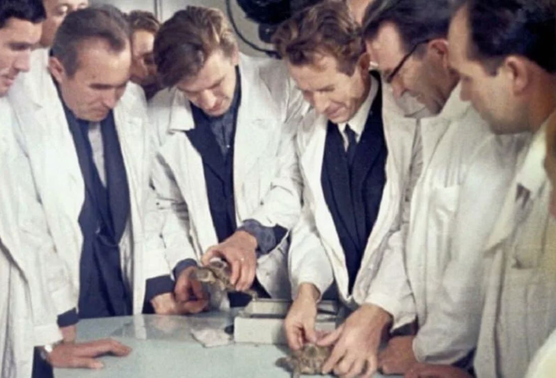  фото из архива РКК «Энергия» — учёные В.Д. Благов, Ю.П. Семёнов и другие осматривают черепах, вернувшихся на «Зонде-5»