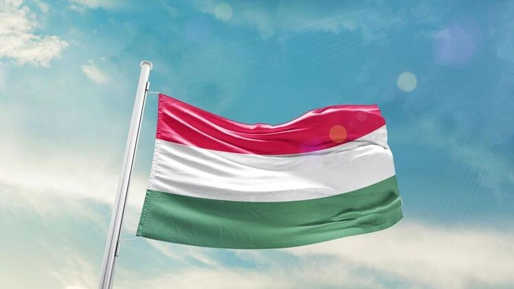    Фото: em_concepts/Shutterstock/Fotodom