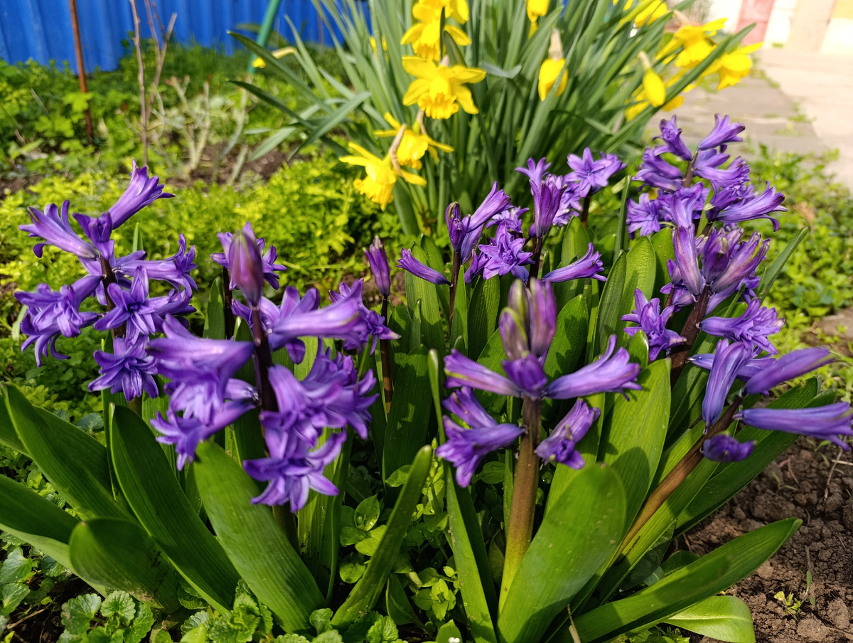 Фото автора 