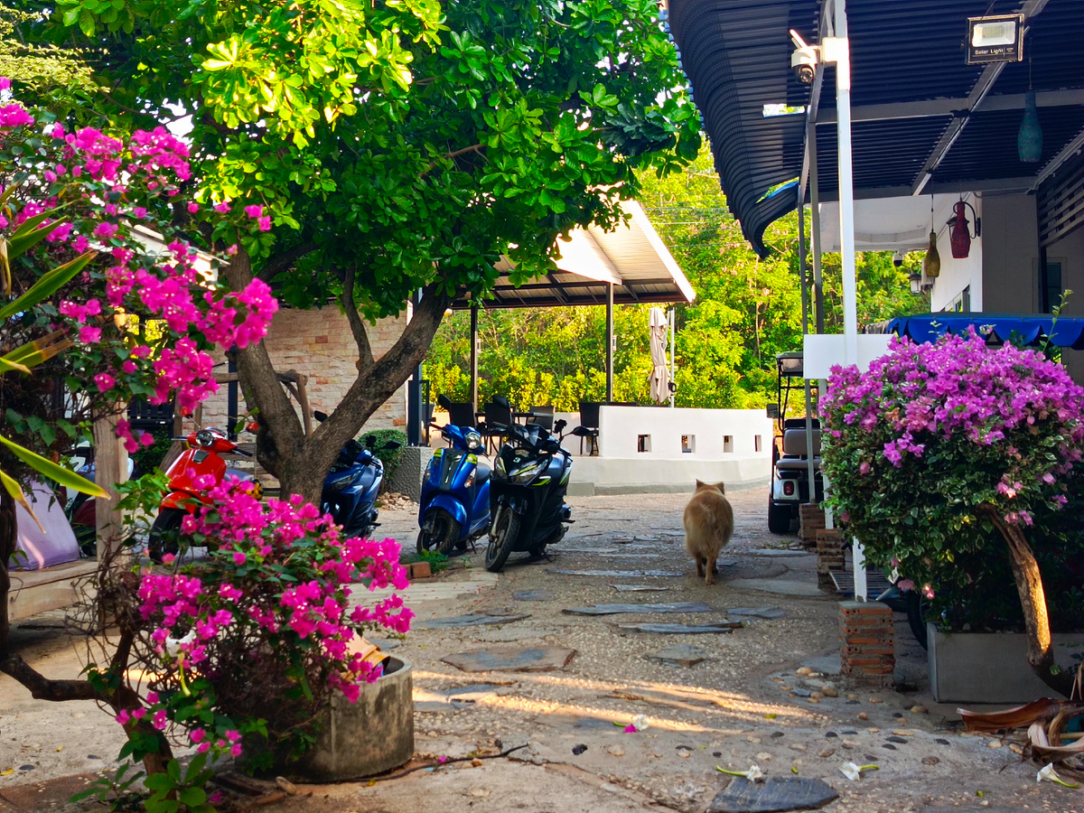 Территория отеля.