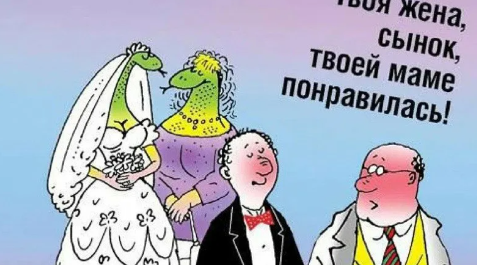 Жена сына