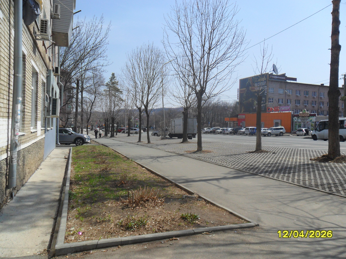 Клумба у библиотеки в 2026 году