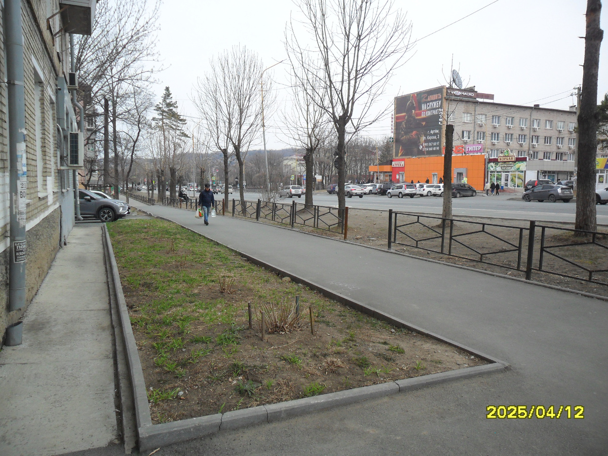 Клумба у библиотеки в 2025 году