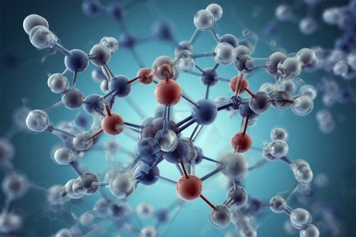    Фото: коллаж RuNews24.ru