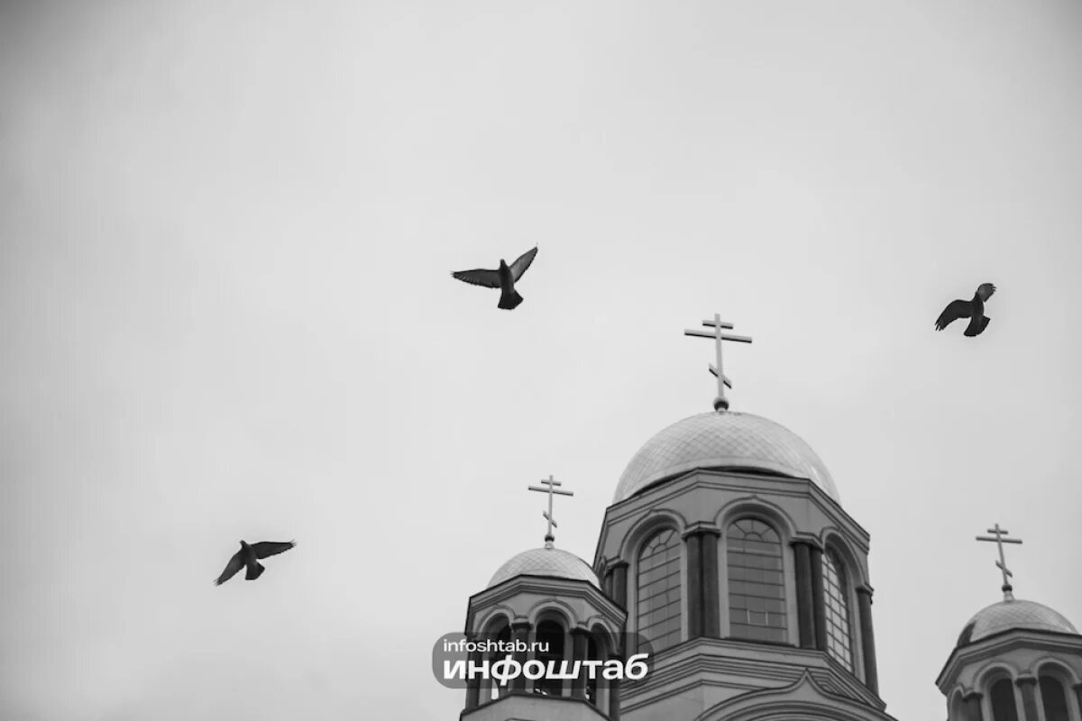    Пасхальное чудо: в астраханском храме спасли и выпустили на волю горлицу