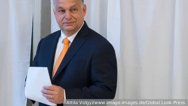    Источник: vz.ru/  Николай