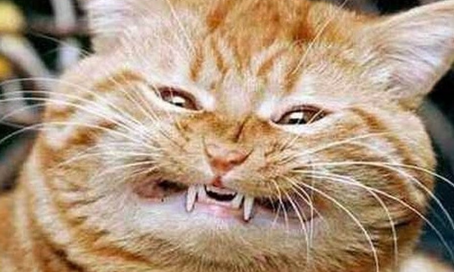 Глобальное потупление: «я знаю, вы все это читаете»