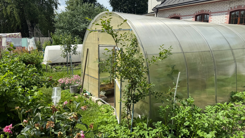    Фото из архива редакции