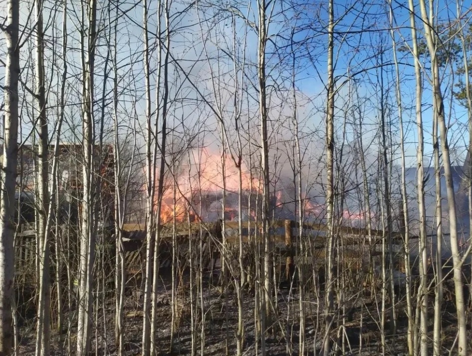    фото: © Госкомитет Карелии по безопасности