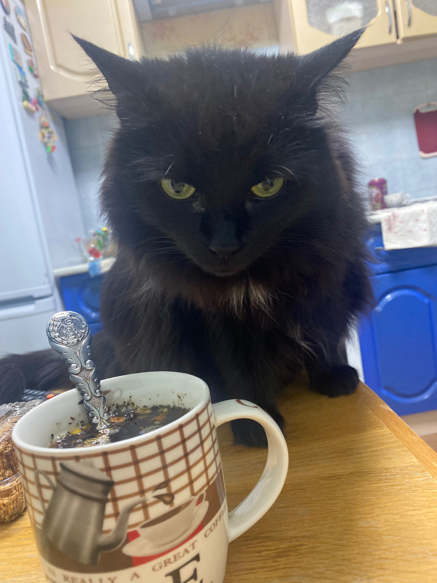 кто бы мог подумать, что она так быстро может сгореть