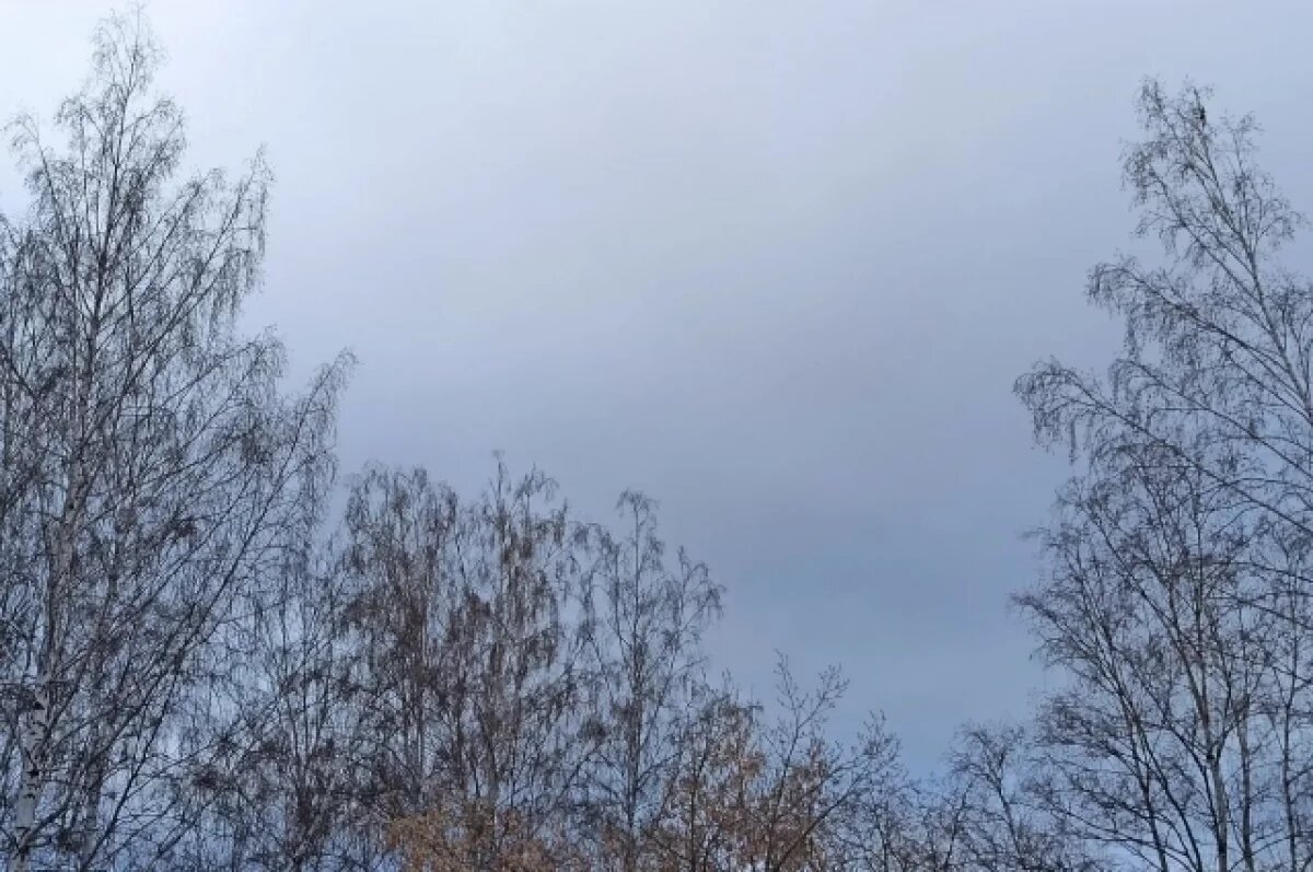    В небе над Петербургом облаков станет больше