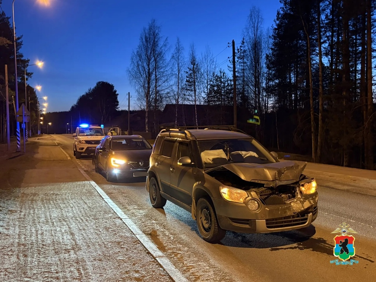    фото: © МВД Карелии