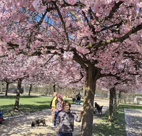 Весна цветет. Путешествие по Италии Жанны Мартыновой