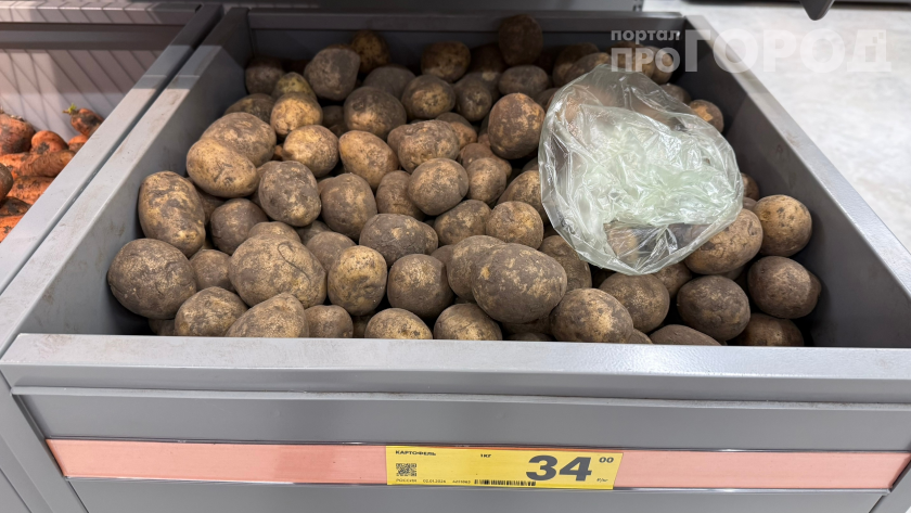    Фото: ПроГород