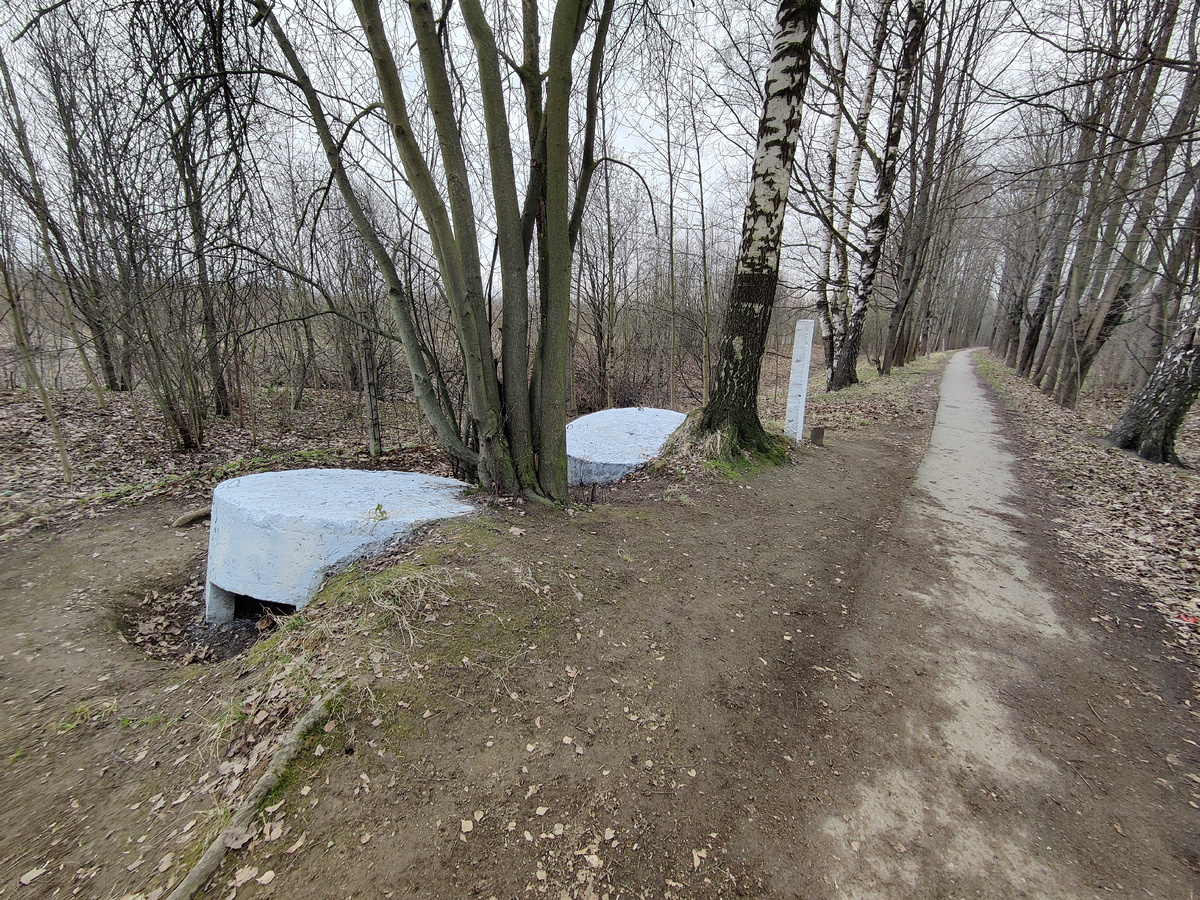 Раньше они небыли так хорошо расчищены и небыли покрашенными. Фото с  прогулки