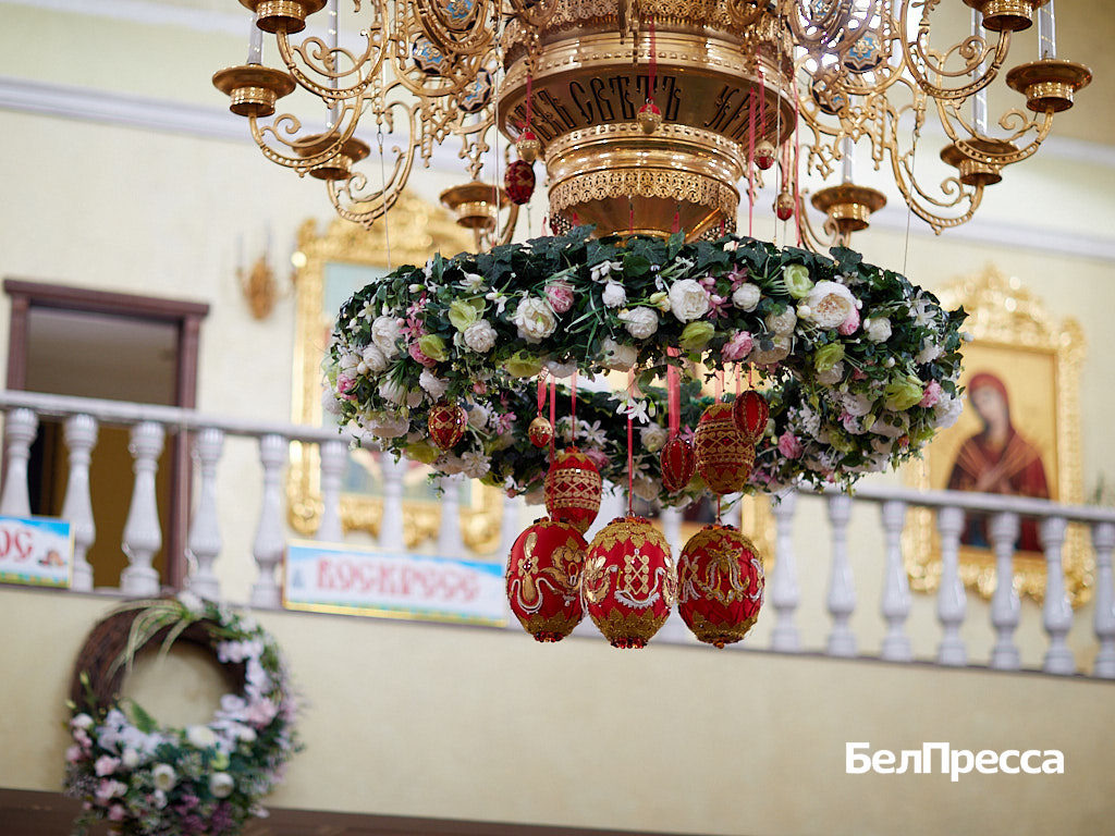     Фото: Елена Журавлёва