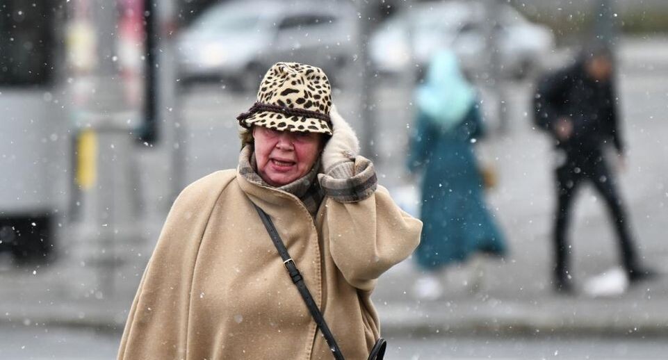 В Москве за сутки выпала пятая часть месячной нормы осадков