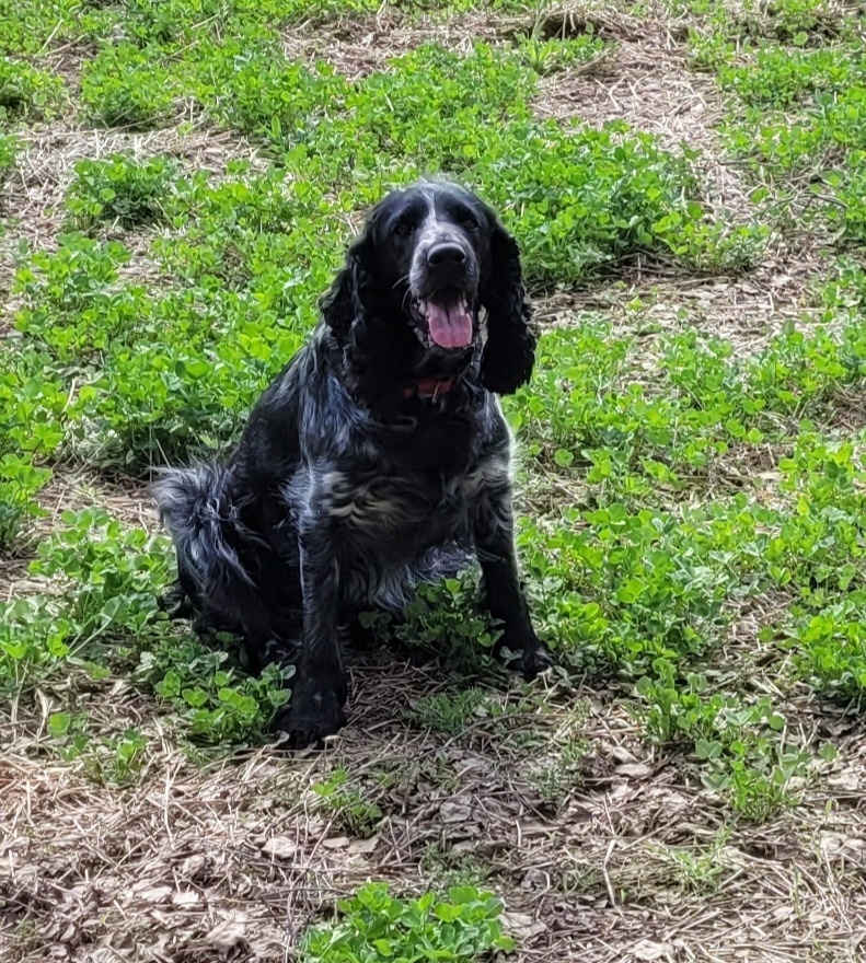 Брайт.Его уженет с нами