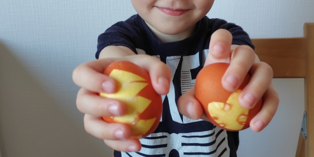 Новости от двойняшек: Светлый праздник, подготовка и планы