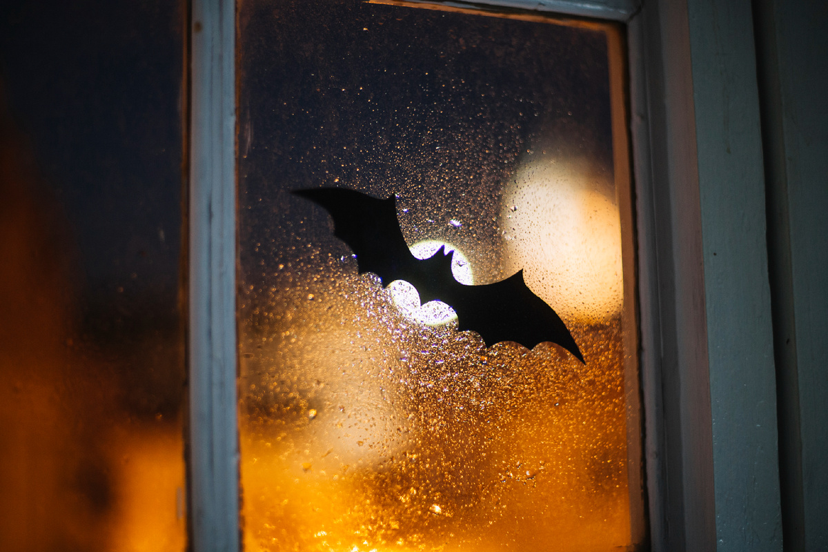 Фото: freepic.com. 