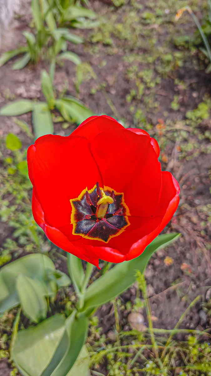 Фото от 10 апреля 2026 год