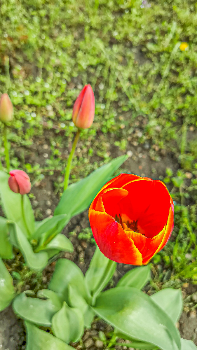 Фото От 10 апреля 2026 год