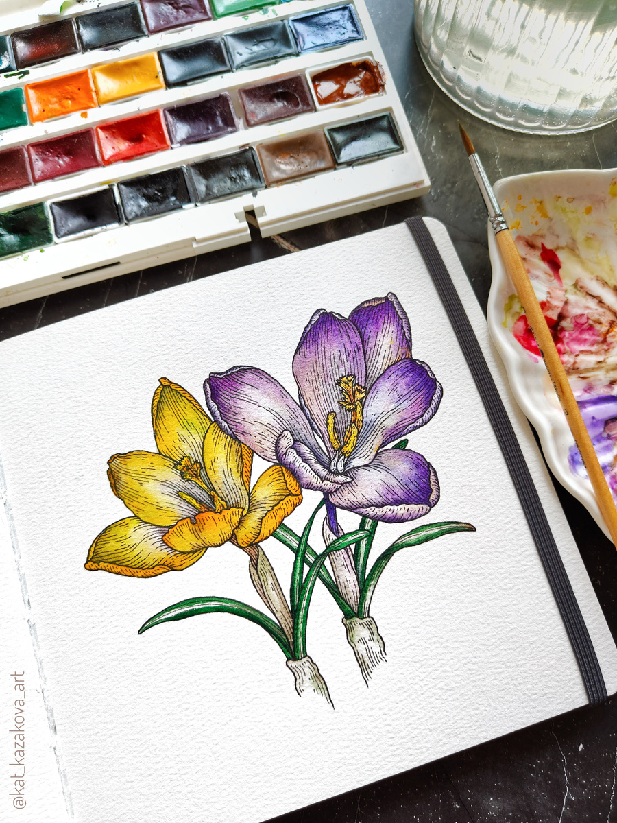 Крокусы. Рисунок линерами и акварелью. Здесь использовала акварель из кювет и из туб (эти выдавливаю понемногу на палитру)