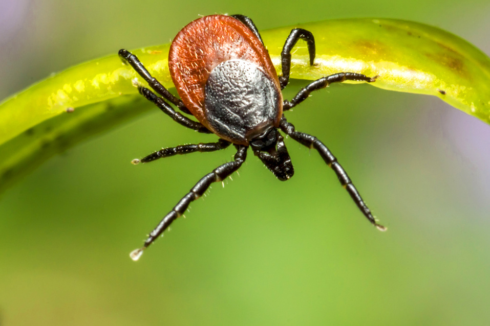    Фото: ru.freepik.com