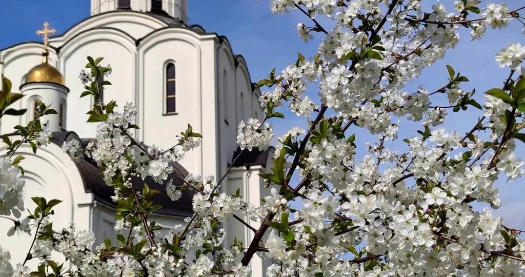 Доброе утро, Калининград и Ко