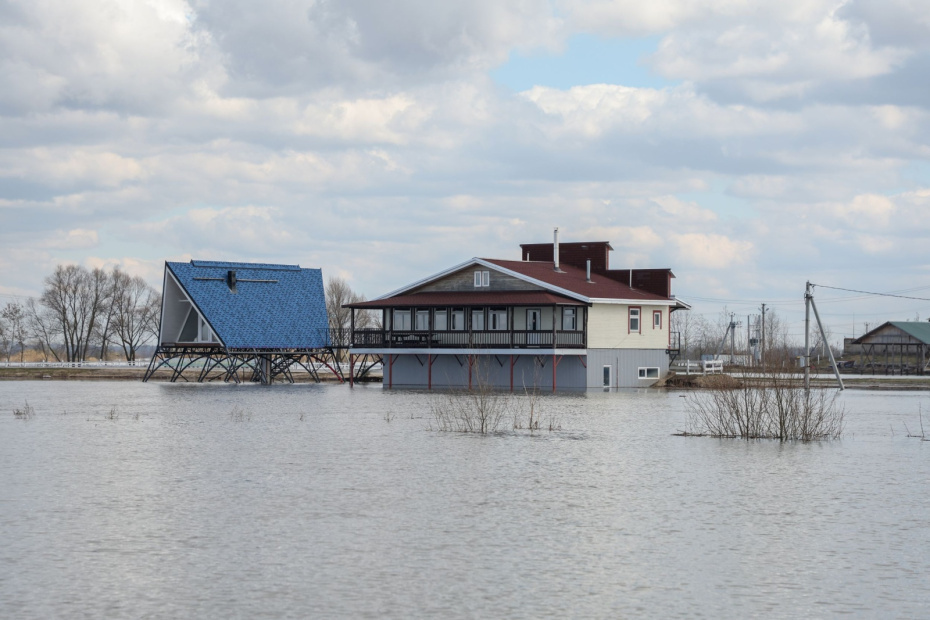    Алексей Белкин/NEWS.ru