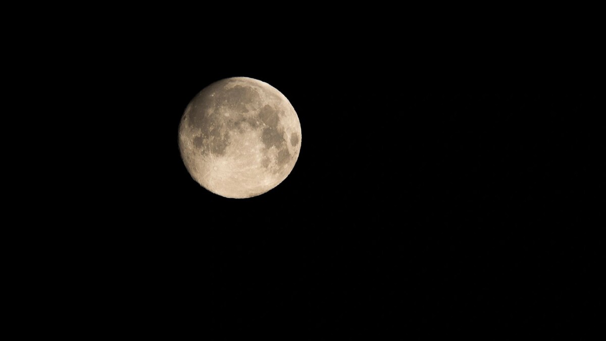    Фото: Сергей Зубков / «Ямал-Медиа»