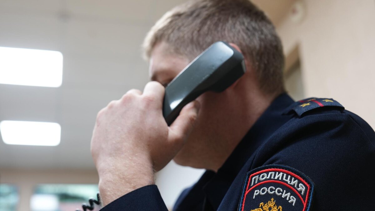    Фото: ИЗВЕСТИЯ/Эдуард Корниенко