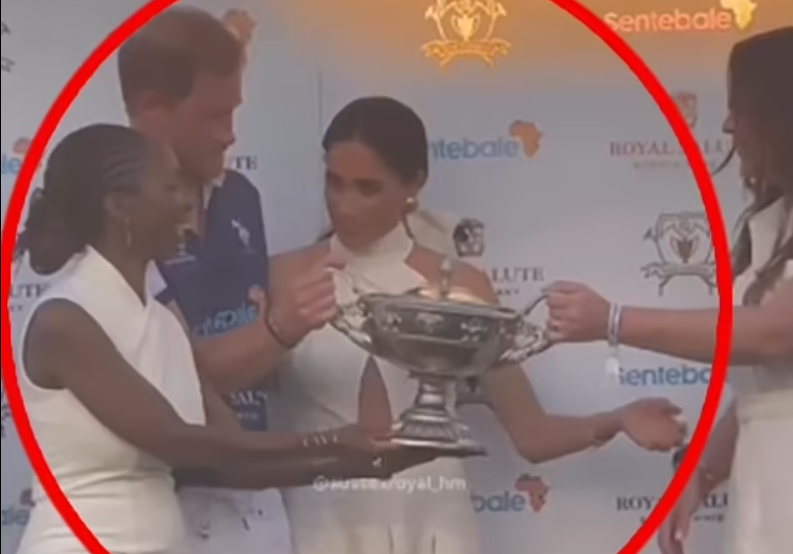 «Жабу сожрала змея»: Леди Си о том, как Софи Чандука уничтожила принца Гарри и Меган МАРКЛ их же оружием