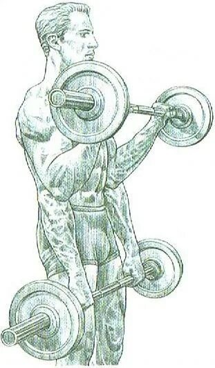 Обратный хват — новый взгляд на бицепс: как превратить обычное упражнение в мощный инструмент роста мышц