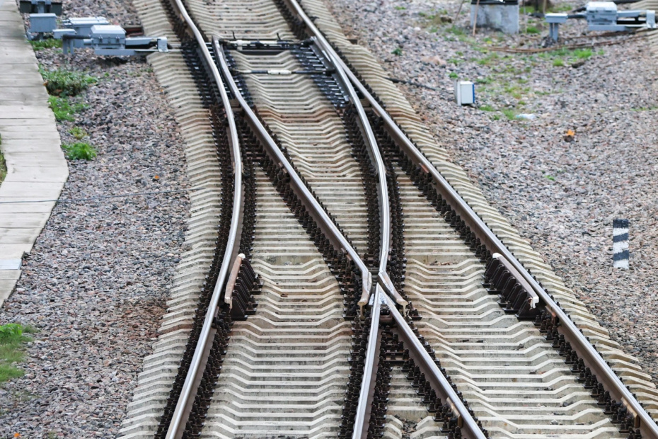    Алексей Белкин/NEWS.ru