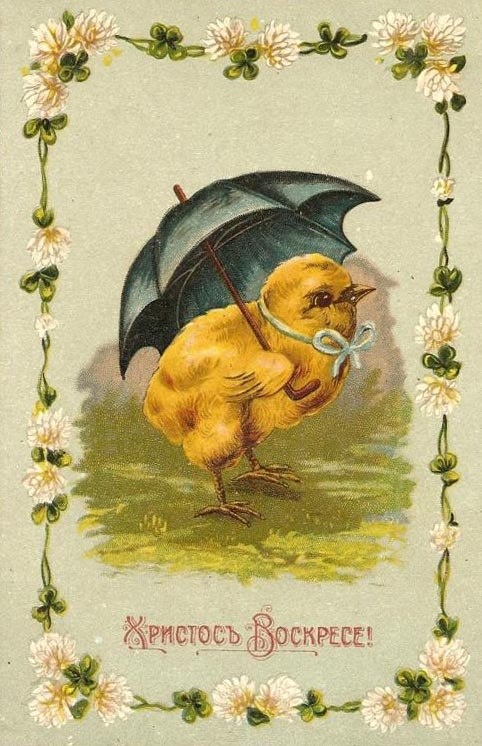 Открытка, чудом сохранившаяся в нашей семье