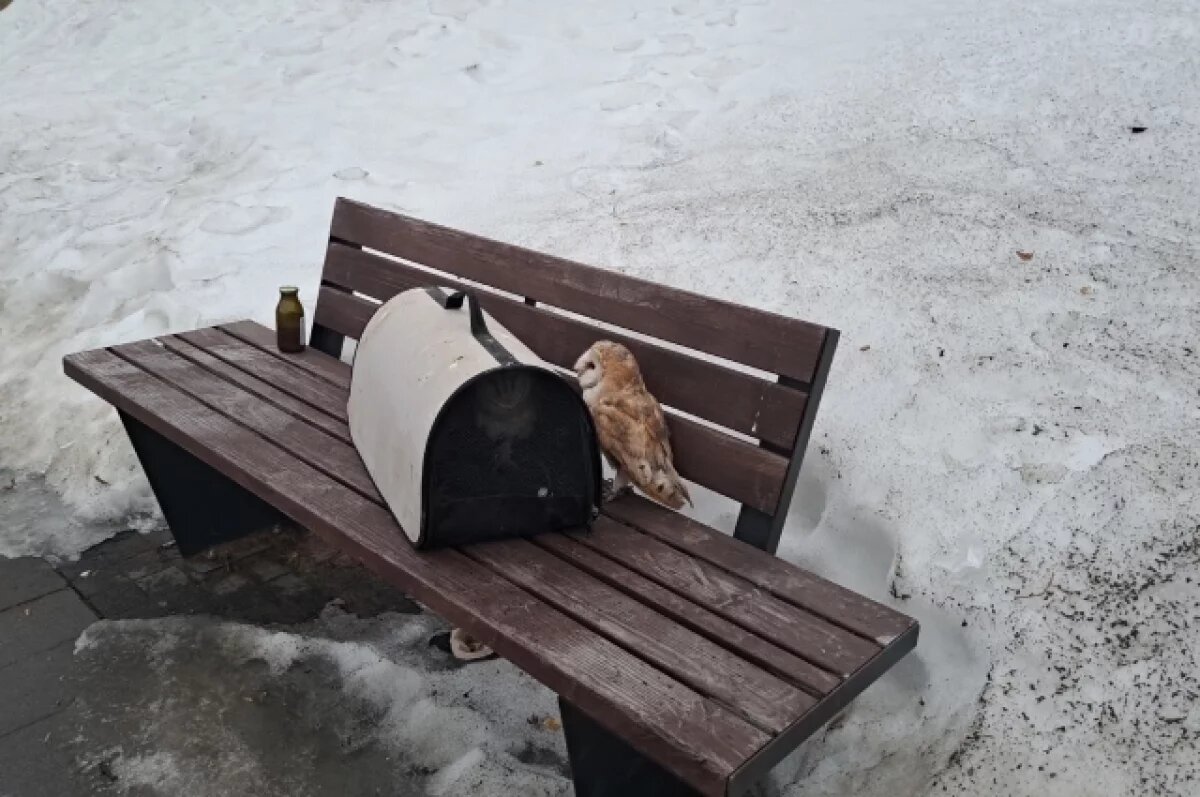    Фотосессии предлагали в центре Перми.